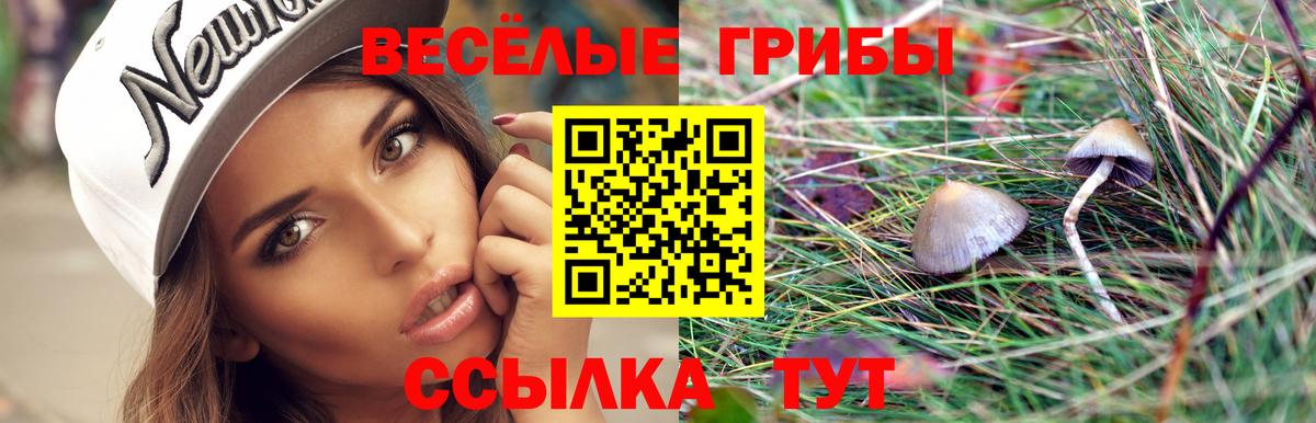 Псилоцибиновые грибы GOLDEN TEACHER Краснознаменск